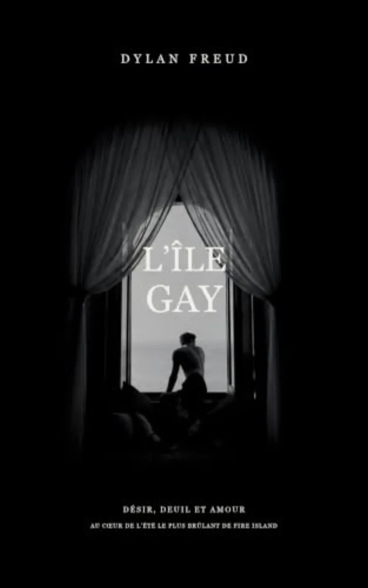 Cover of L’Île gay, Français edition