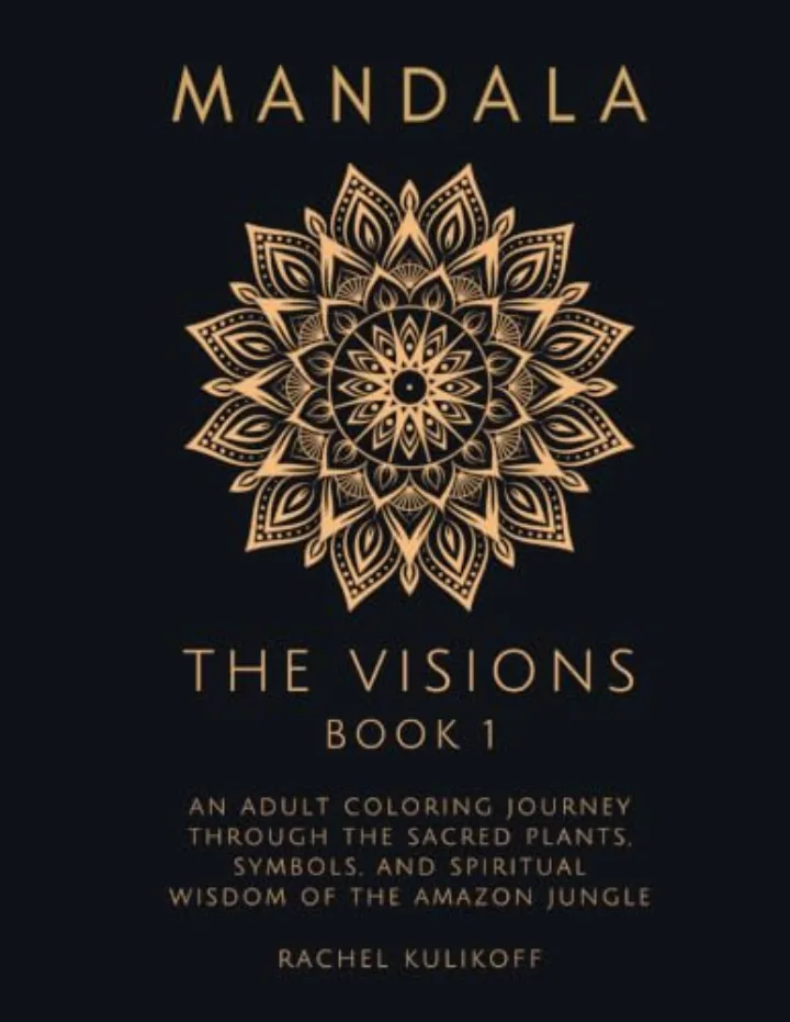 Cover of The Visions 1